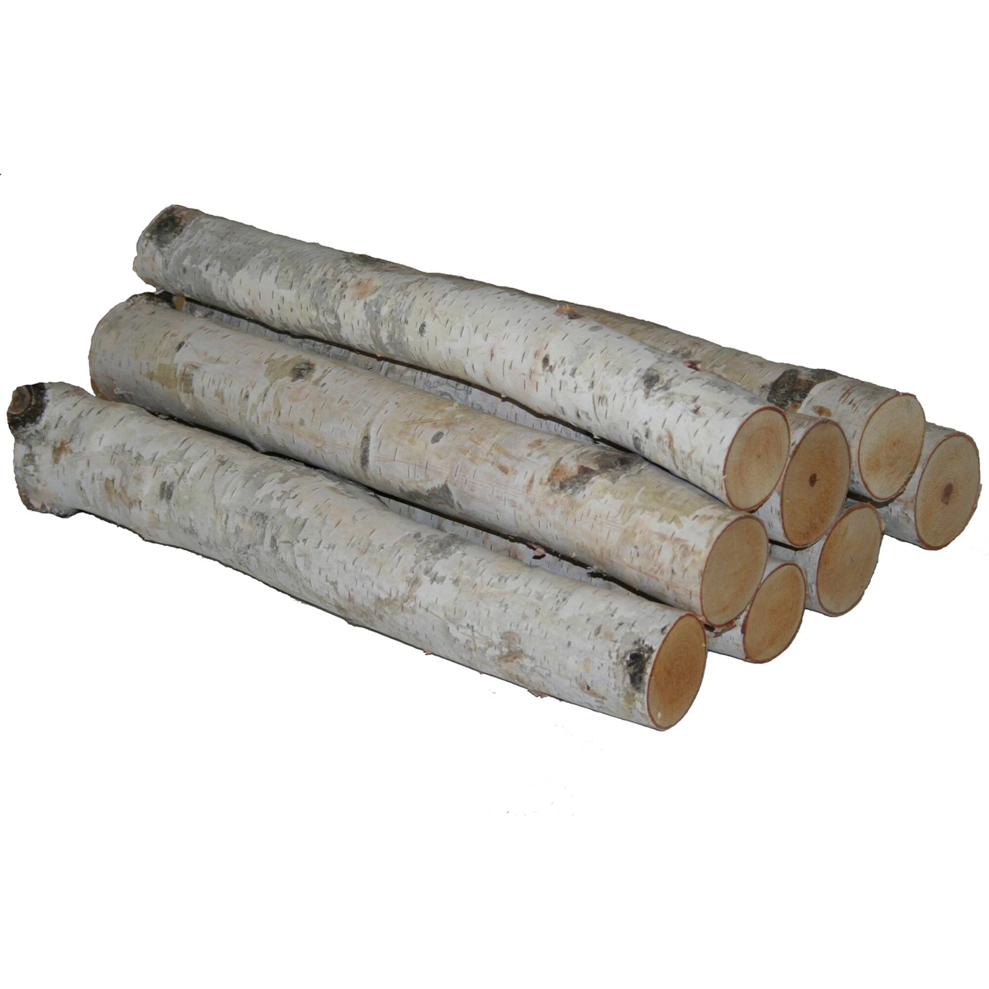 Wilson® Enterprises 5"-6" Large White Birch Fireplace Set, 5ct.